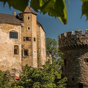 Burg Plankenstein